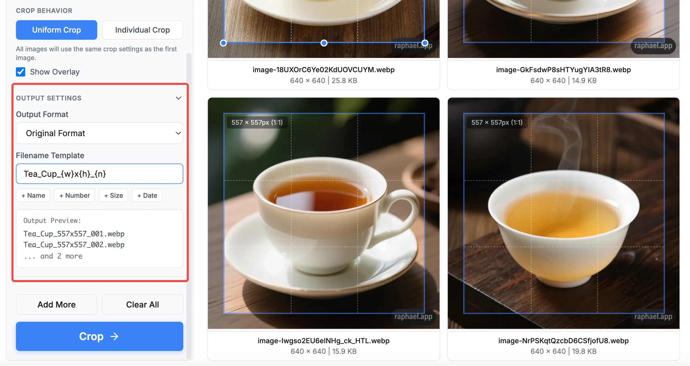 Customize output filenames with dimensions and numbering in Batch Image Crop